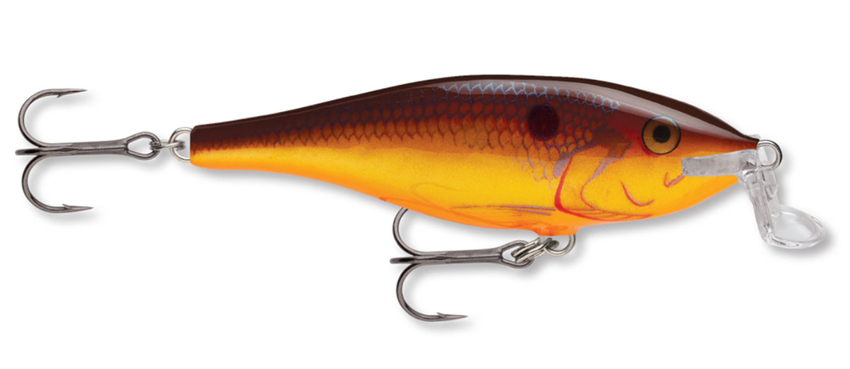 Rapala Shallow Shad Rap | Esche Artificiali - Foto 6