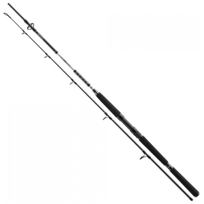 Canne Daiwa BG Offshore 2,70m 40-125g – Pêche En Eau Salée Pilk Dandinette