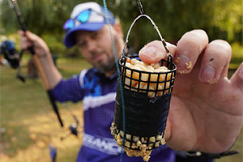 KAKO ODABRATI HRANILICU?