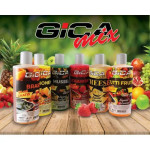 GICA-LIQUID 250ml + 50ml GRATIS - BRUSNICA 