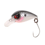 LITTLE FISH 25 (FXAT-740264) 