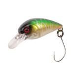 LITTLE FISH 25 (FXAT-740267) 