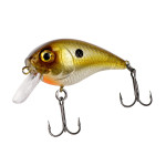 CHUBBY 38 (FXAT-800366) 