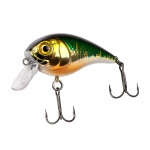 CHUBBY 38 (FXAT-800385) 