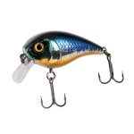 CHUBBY 38 (FXAT-800386) 