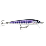 RAPALA FLOATER ELITE (FE) 85 GDIW 