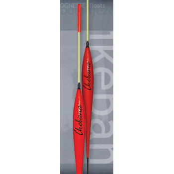 Gica Plovak - Ikebana 2g 