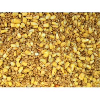 Fermented Two Seeds Mix 900g (SP250074) 