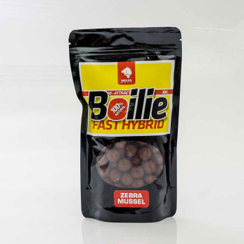 FAST HYBRID BOILIE 300g 14mm - ZEBRA MUSSEL 