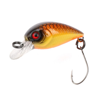 LITTLE FISH 25 (FXAT-740265) 