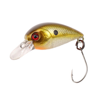 LITTLE FISH 25 (FXAT-740266) 