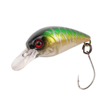 LITTLE FISH 25 (FXAT-740267) 