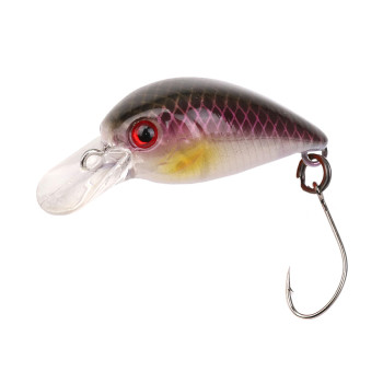 LITTLE FISH 25 (FXAT-740268) 