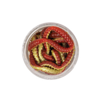 POWERBAIT POWER HONEY WORM 2.5cm REDYELLW (1546775) 