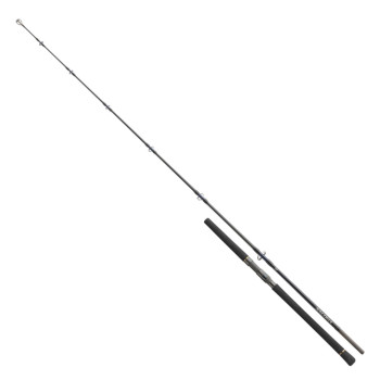 SALTIGA STICK'N POP 8.3ft 80-125g (11501-250) 