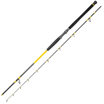 FREESTYLE PRO SPIN 2.70m 50-180g (BO140005) 