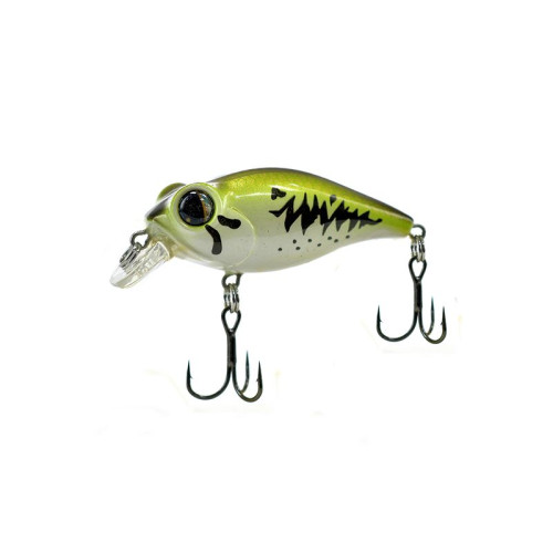 BUG EYE BAIT 48 (BB-48F) BABY BASS (5285-13) 
