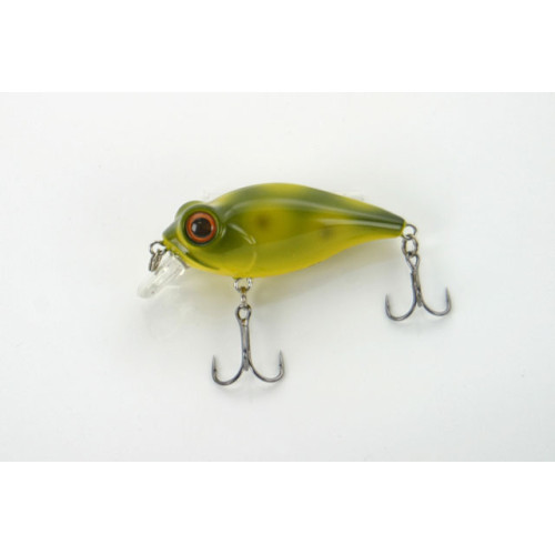 BUG EYE BAIT 48 (BB-48F) BULL FROG (5285-53) 