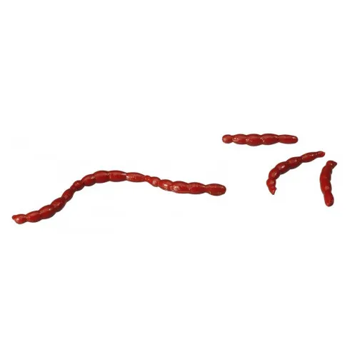 GULP ALIVE BLOODWORMS LARGE (1236977) 