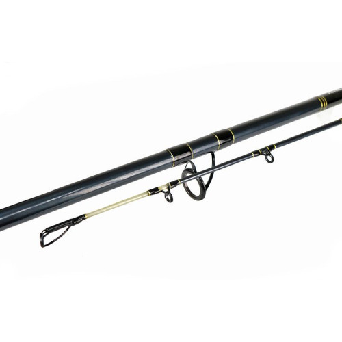 TACTIC CAT 2.40m 60-150g 