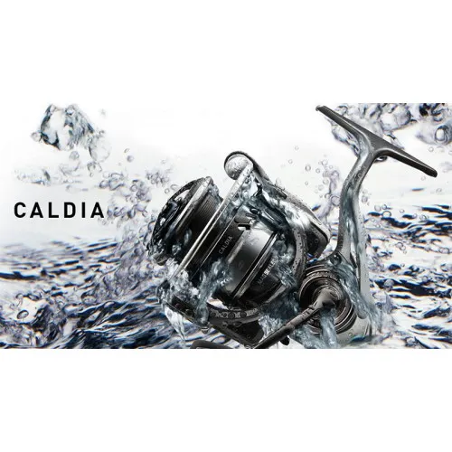 18 CALDIA LT 2500D (10412-255) 