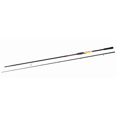 ATTACK SPIN 2.70m 14-55g 