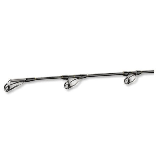 BG DEEP SEA 2.20m 30-40lbs (11906-215) 