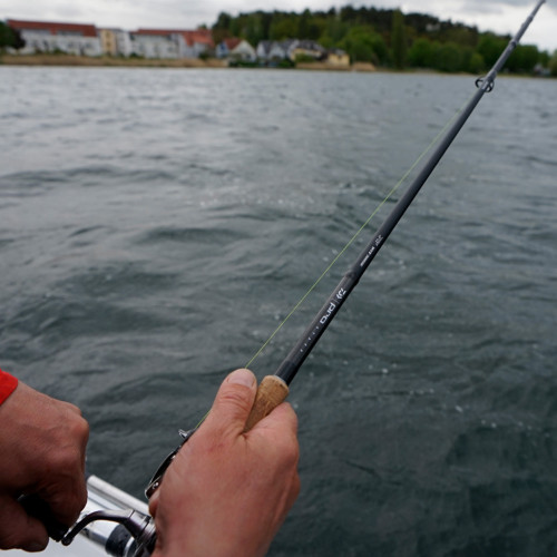 PRO STAFF 2.50m 60-140g (11320-245) 