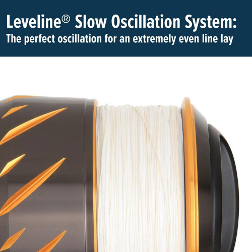 AUTHORITY 6500 (1563162) 