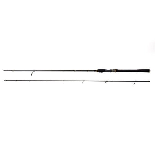 ARIES SPIN 2.70m 15-40g 