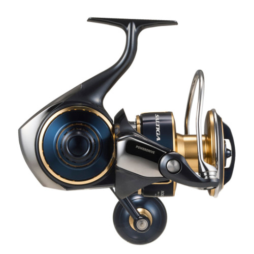 25 SALTIGA (G) 10000-P (10313-100) 