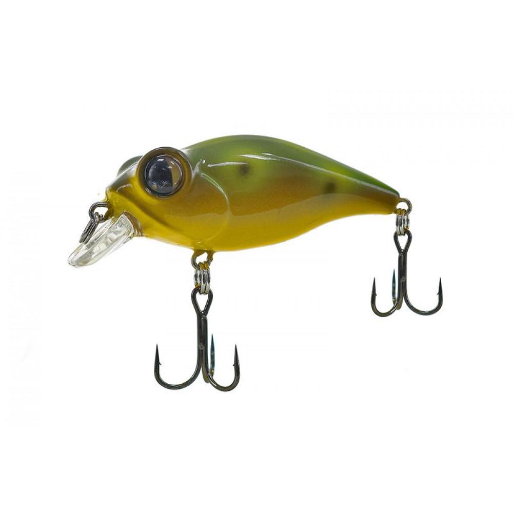 BUG EYE BAIT 48 (BB-48F) BULL FROG (5285-53) 