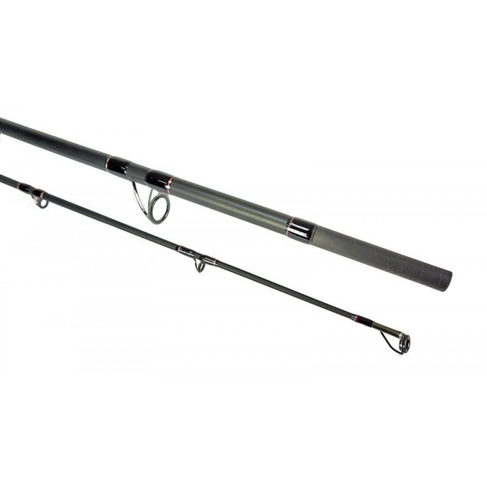 VANTAGE CATFISH 3.20m 100-300g 