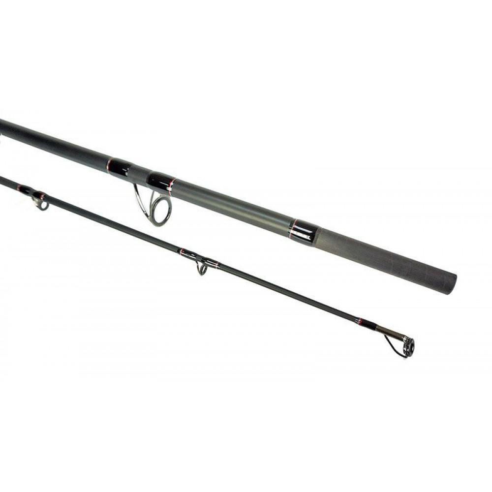 VANTAGE CATFISH 2.70m 100-300g 