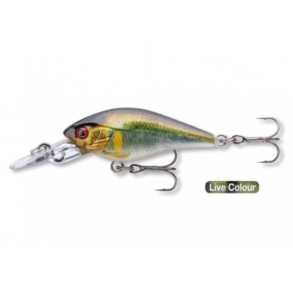 PROREX BABY CB40MR LIVE AYU (15206-411) 