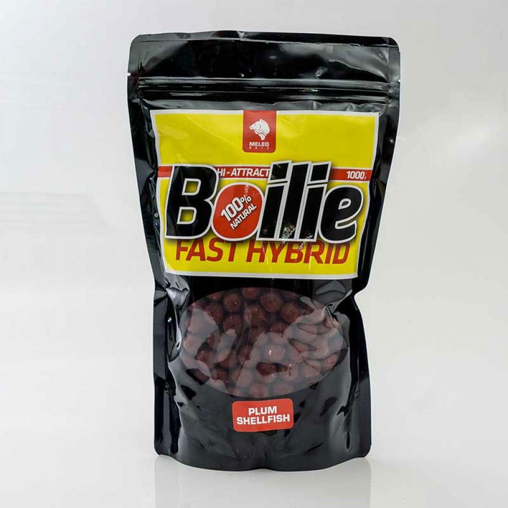 FAST HYBRID BOILIE 300g 14mm - PLUM SHELLFISH 