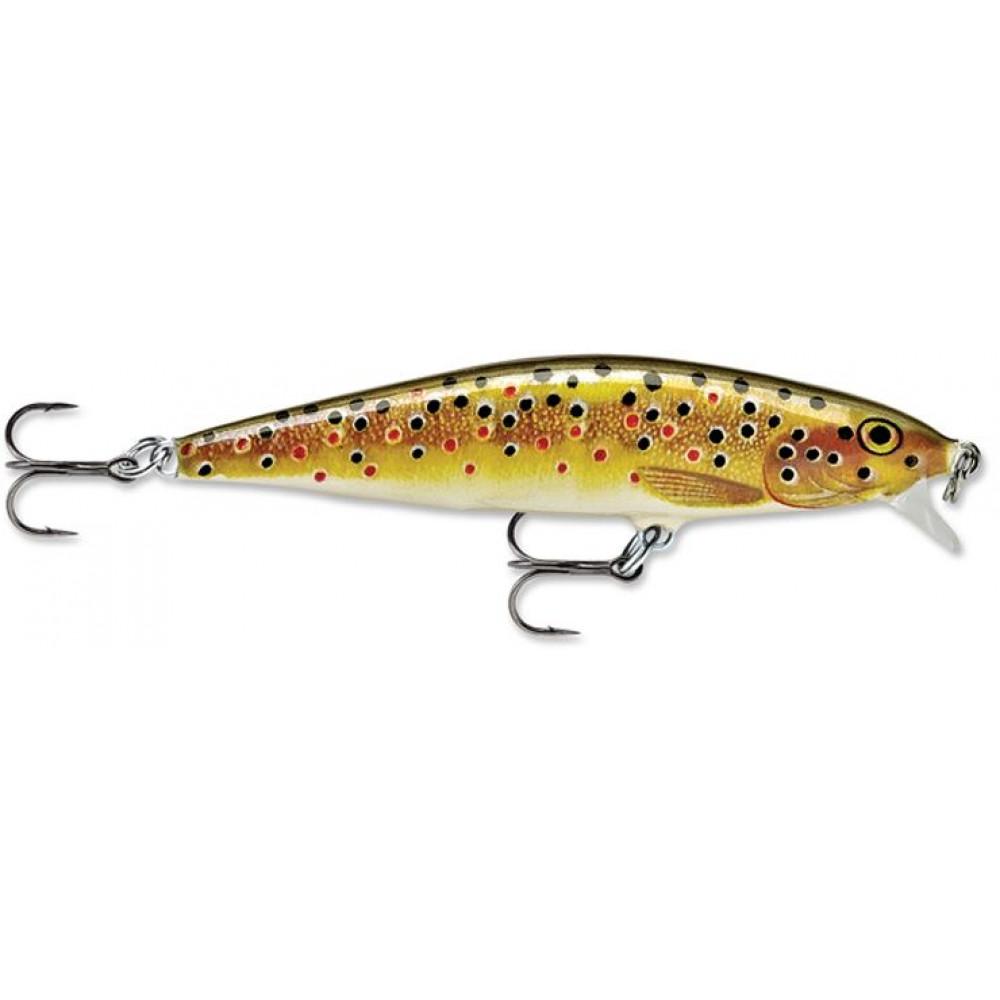 RAPALA FLAT RAP (FLR) 8 TR 