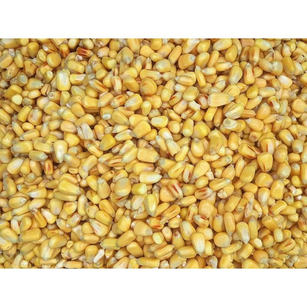Fermented Corn 900g (SP250073) 