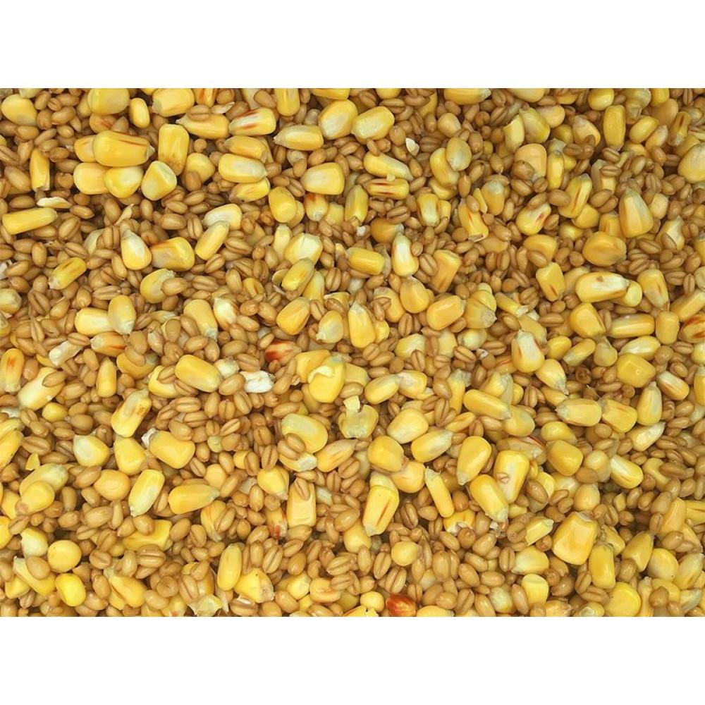 Fermented Two Seeds Mix 900g (SP250074) 