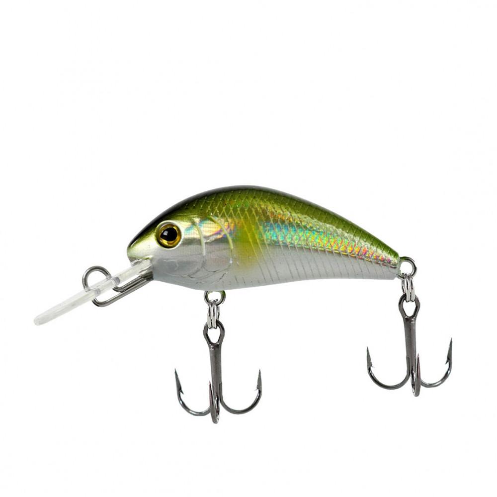 ATTACK STINGER 40 (FXAT-660434) 