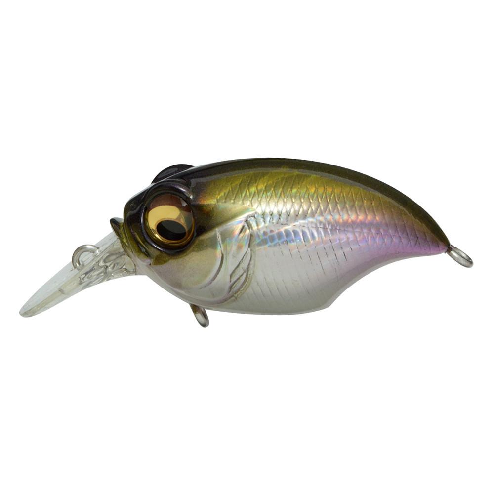 SR-X GRIFFON GG MOSS GIN 