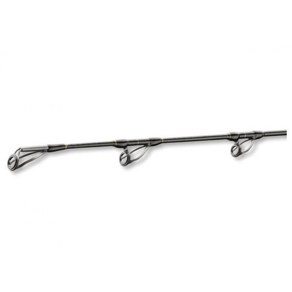 BG DEEP SEA 2.20m 30lbs (11906-211) 