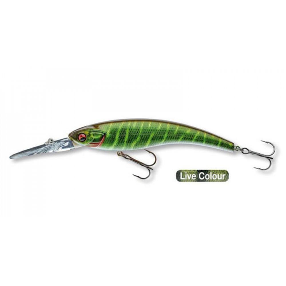 PROREX DIVING MW DR80 LIVE PIKE (15203-807) 