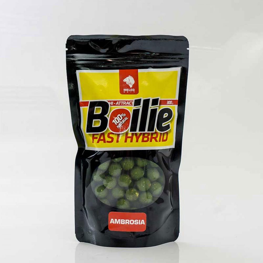 FAST HYBRID BOILIE 300g 14mm - AMBROSIA 