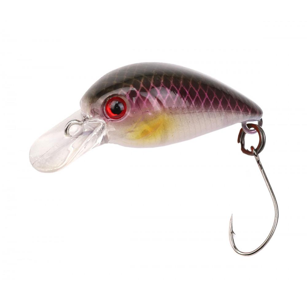 LITTLE FISH 25 (FXAT-740268) 