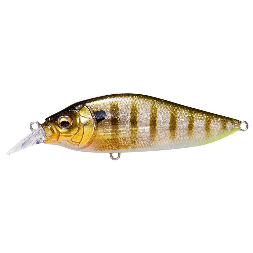 FLAP SLAP LBO GLX GALAXY GILL 