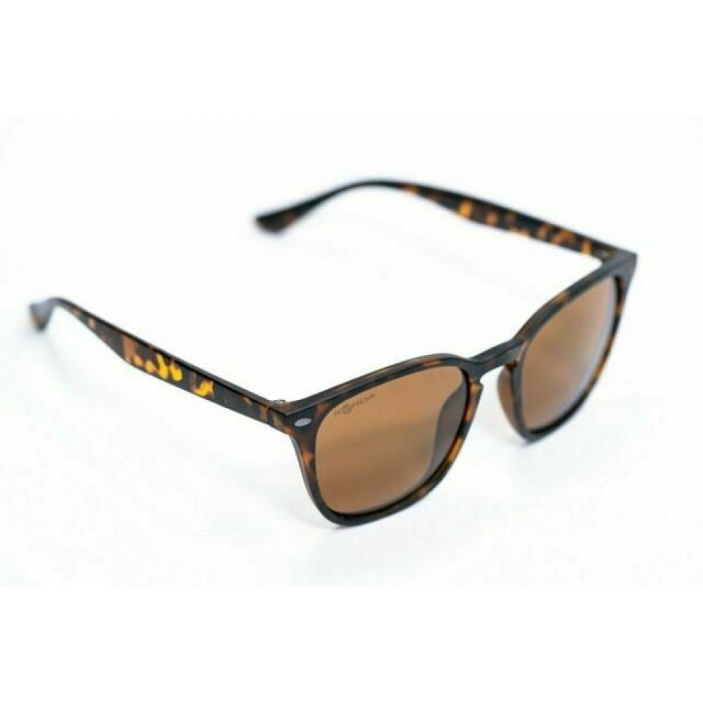 SHOREDITCH - MATT TORTOISE SHELL/BROWN LENS (K4D13) 