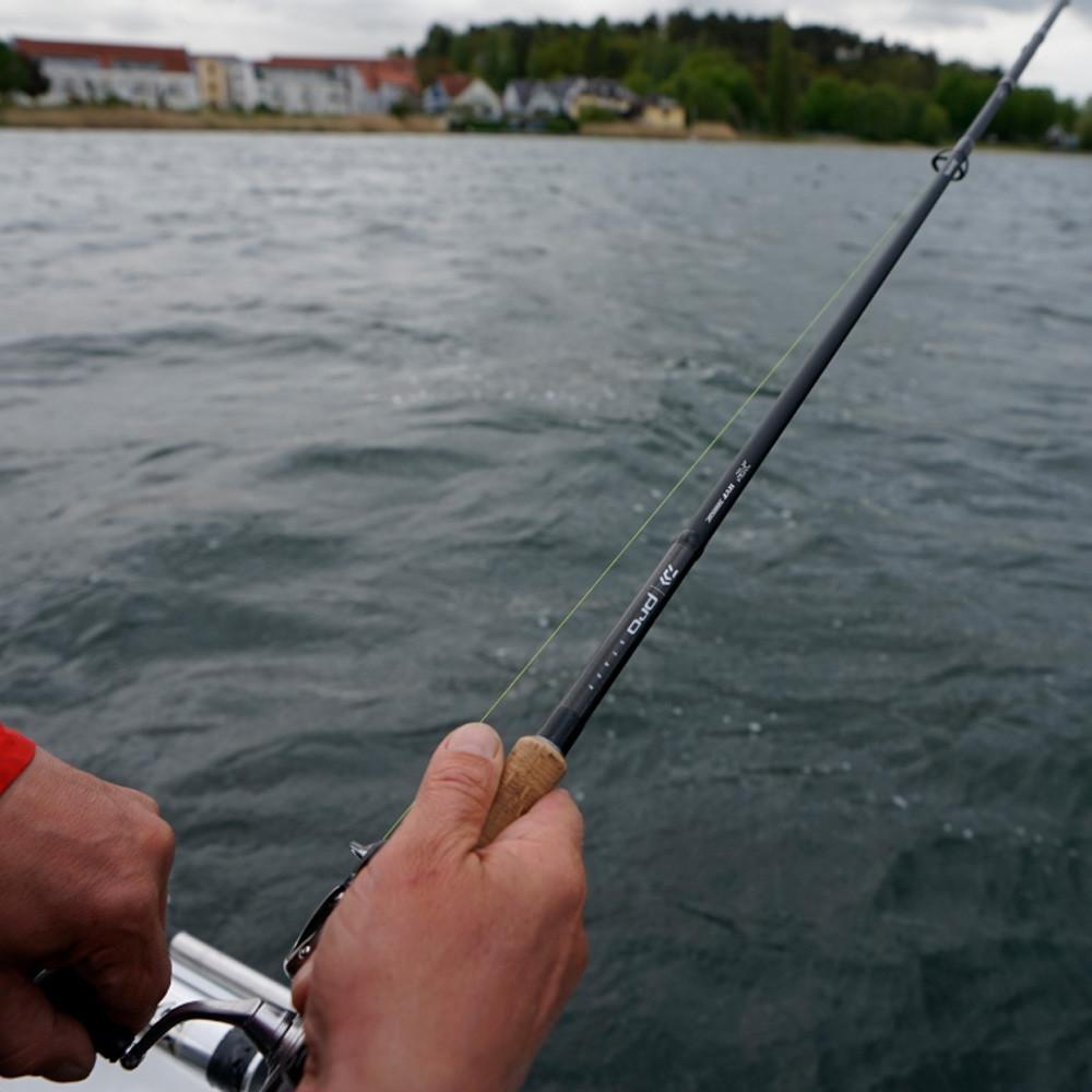 PRO STAFF 2.50m 60-140g (11320-245) 