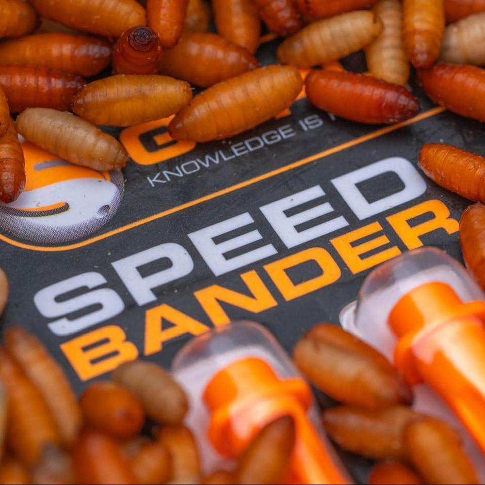 GURU SPEED BANDER (GUR002) 