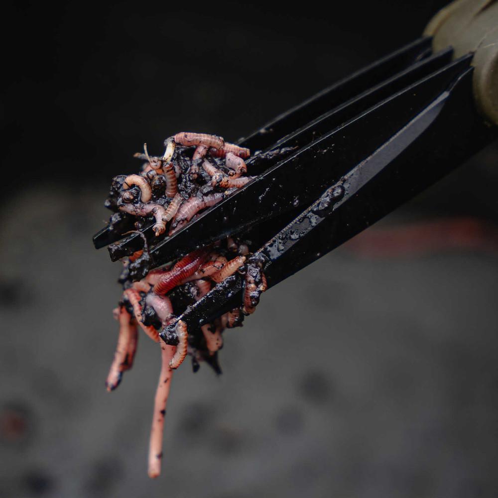 Worm Choppers (A0640100) 